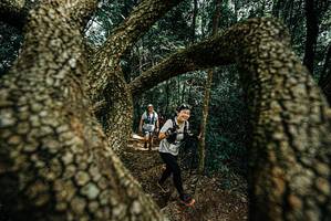 BIB: 
                            <button type="button" onclick="openModal(25703787)" class="btn btn-primary btn-sm float-right btn-popup" data-toggle="modal" data-target=".modal-high-quality">
                        <i class="fas fa-shopping-cart"></i> Add to Cart
                    </button>
                                            <button type="button" onclick="isThisMe(25703787, true)" class="btn btn-success btn-sm float-right btn-popup btn-isme hidden" data-toggle="tooltip" data-placement="bottom" title="นี่คือรูปของคุณใช่ไหม คลิกที่นี่เพื่อเอาเข้าอัลบั้ม">
                        <i class="fas fa-plus"></i> Add to album
                    </button>
                    <button type="button" onclick="isThisMe(25703787, false)" class="btn btn-warning btn-sm float-right btn-popup btn-isnotme hidden">
                        <i class="fas fa-ban"></i> Remove from album
                    </button>